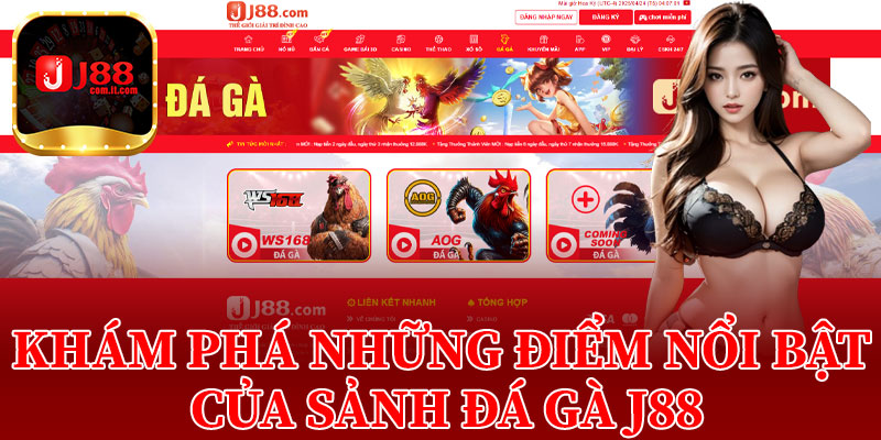 Khám Phá Những Điểm Nổi Bật Của Sảnh Đá Gà J88
