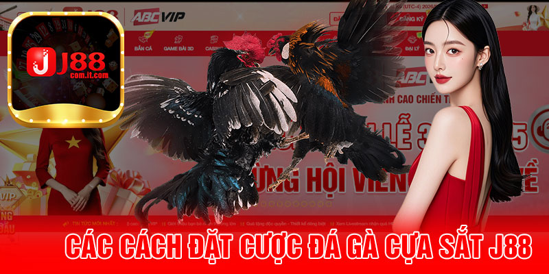 Các Cách Đặt Cược Đá Gà Cựa Sắt J88