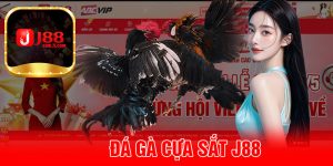 Đá Gà Cựa Sắt