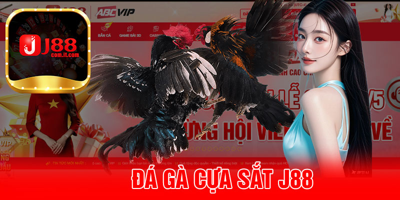 Đá Gà Cựa Sắt