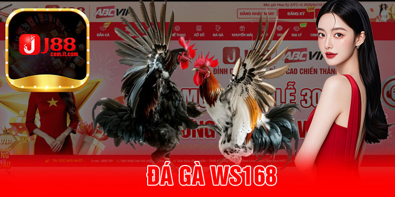Đá Gà WS168