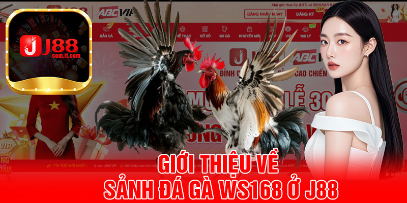 Giới Thiệu Về Sảnh Đá Gà WS168 Ở J88