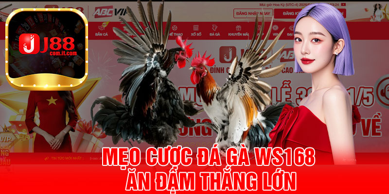 Mẹo Cược Đá Gà WS168 Ăn Đậm Thắng Lớn