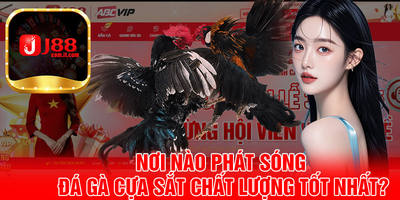 Nơi Nào Phát Sóng Đá Gà Cựa Sắt Chất Lượng Tốt Nhất?