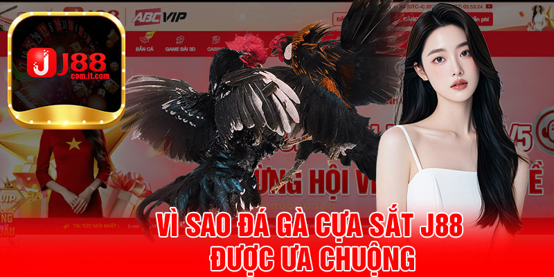 Vì Sao Đá Gà Cựa Sắt J88 Được Ưa Chuộng