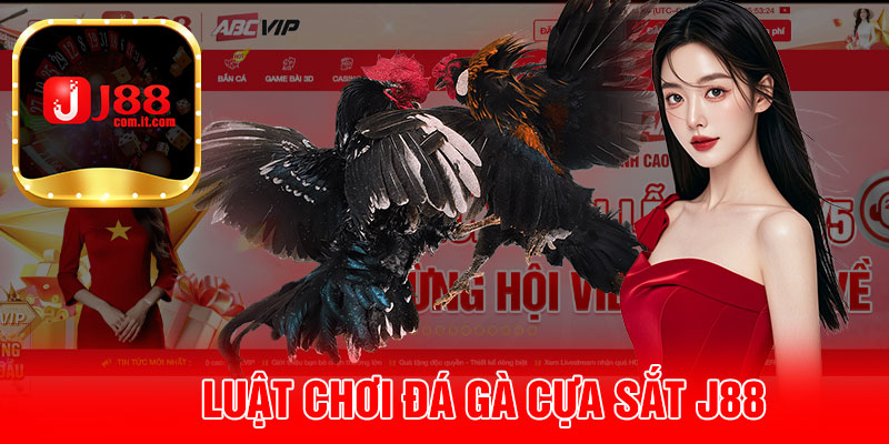 Luật Chơi Đá Gà Cựa Sắt J88